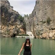 Doy clases particulares de Matemáticas, lenguas, historia, etc. para alumnos de secundaria